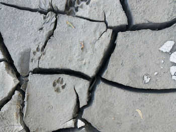 Full frame shot of cracked pattern
