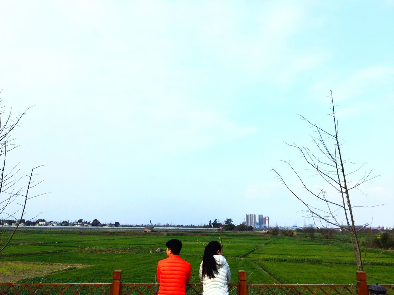 grass, leisure activity, lifestyles, field, men, grassy, person, sky, togetherness, landscape, clear sky, relaxation, nature, rear view, green color, tree, casual clothing, bonding