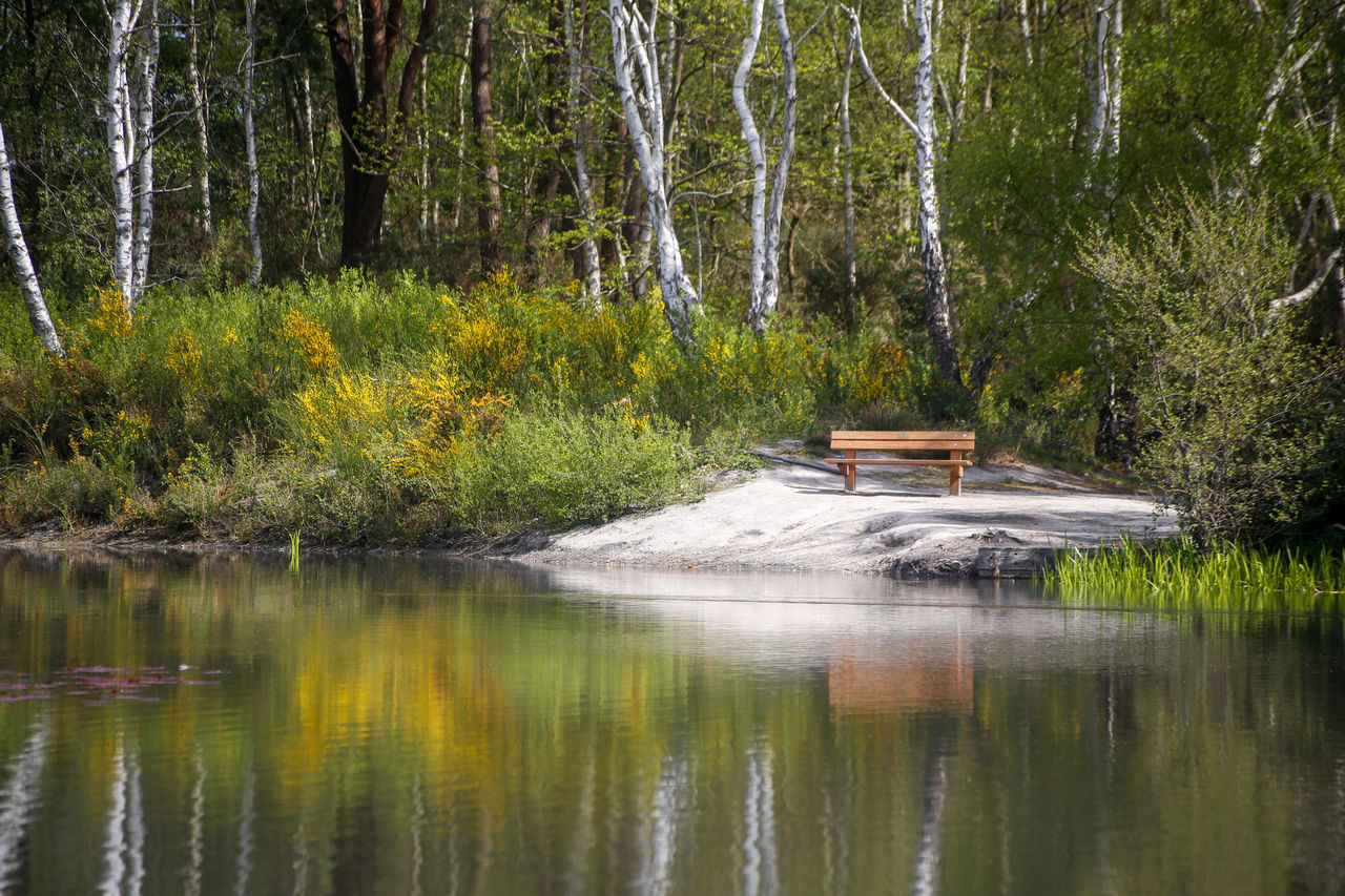 SCENIC VIEW OF LAKE