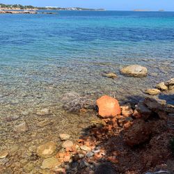 Scenic view of sea shore