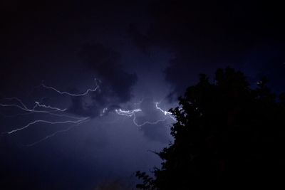 Low angle view of trees against sky