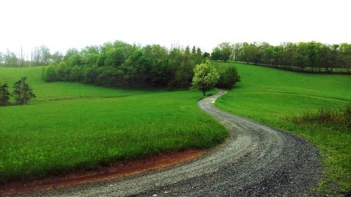 Scenic view of grassy field