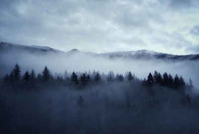 Scenic view of trees and mountains against sky