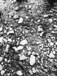 Full frame shot of pebbles