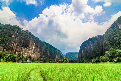 Scenic view of landscape against cloudy sky