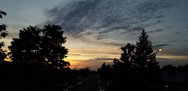 Low angle view of silhouette trees against sky at sunset