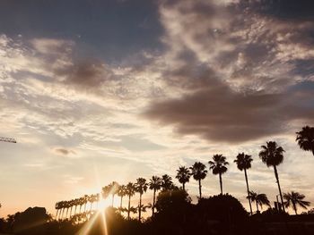 Sunlight streaming through silhouette trees against sky during sunset