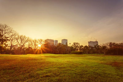 Scenic view of field against sky during sunset