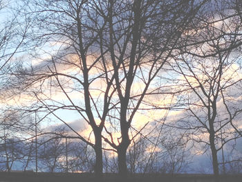 Bare trees against sky at sunset