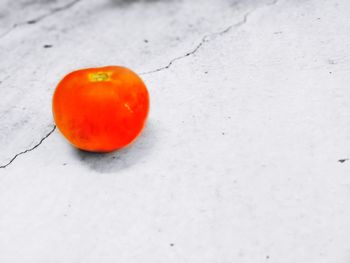 High angle view of orange fruit on snow