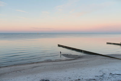Scenic view of baltic sea