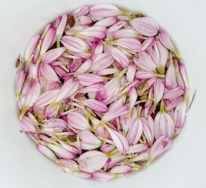 High angle view of pink roses over white background