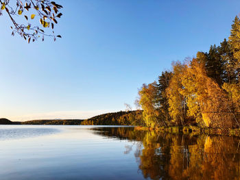 Scenic view of lake against clear sky during autumn