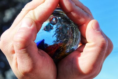 Close-up of hand holding globe