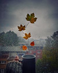 Woman with orange leaves on plant against sky during rainy season