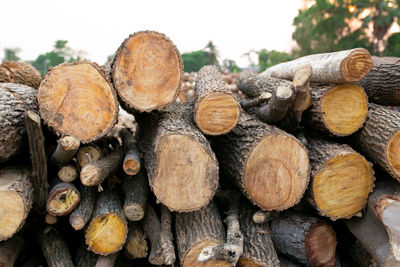 Wood arranged in layers, pile of wood logs ready for industry.