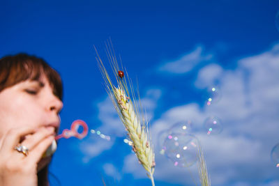 Close-up of ladybug on wheat plant with woman blowing bubbles against sky