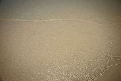 High angle view of beach