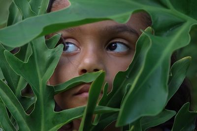 Close-up of girl amidst leaves