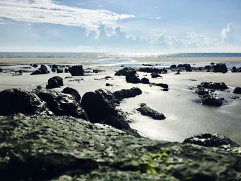 View of rocks on beach