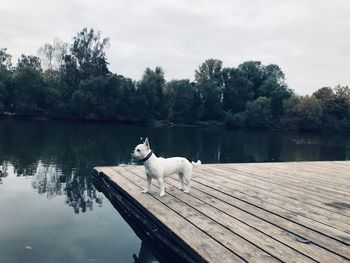 View of a lake against the sky