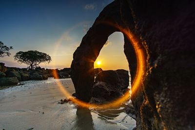 Close-up of lit up at sunset
