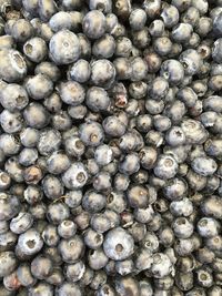 Full frame shot of blueberries