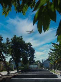 Low angle view of palm trees against sky