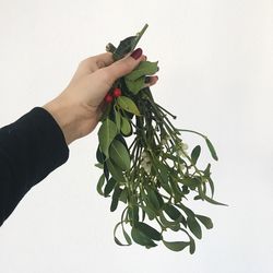 Close-up of hand holding plant against white background