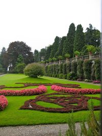 Scenic view of flowers and trees against clear sky