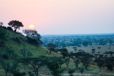 Scenic view of landscape against clear sky