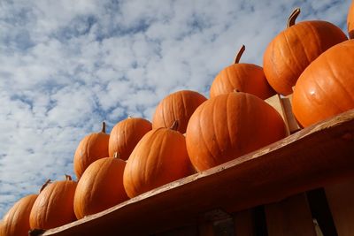 Low angle view of pumpkins against sky