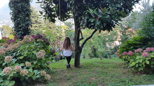 Rear view of woman amidst flowering plants