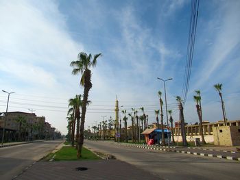 Road by palm trees against sky in city