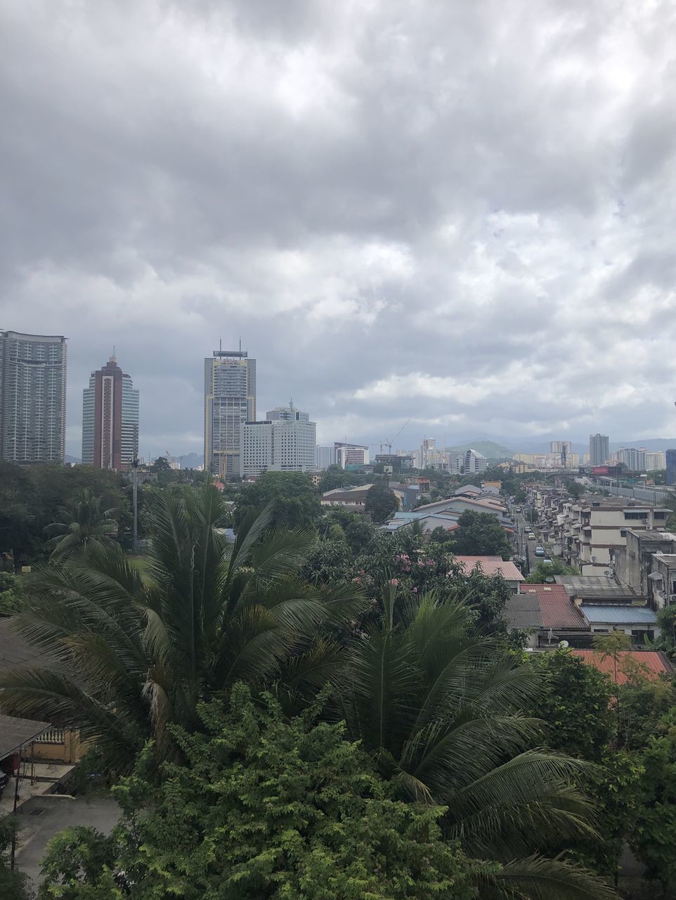 TREES AND BUILDINGS AGAINST SKY