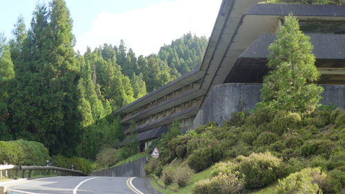 Road amidst trees against sky