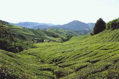 Scenic view of mountains