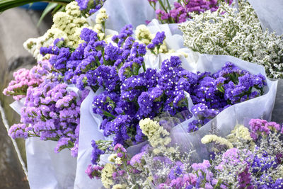 Beautiful of static flowers.