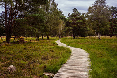 Footpath amidst trees on field against sky