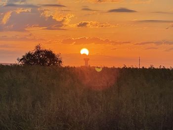 Scenic view of field against sky during sunset