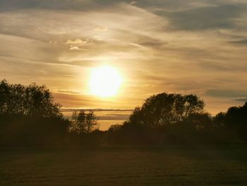 Trees on field against sky during sunset