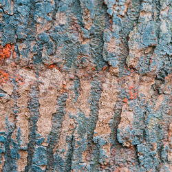 Full frame shot of weathered tree trunk