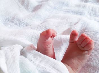 Low section of baby feet