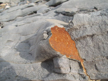 Close-up of rocks