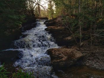 Scenic view of waterfall in forest