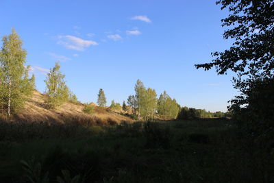 Scenic view of trees against blue sky