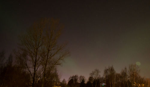 Low angle view of trees against sky