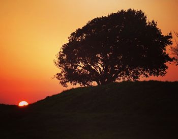 Silhouette tree on field against orange sky