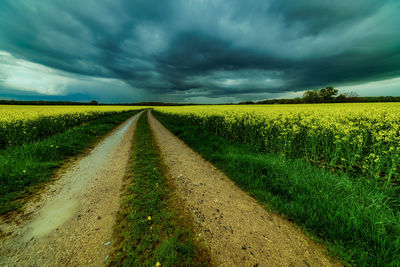 Scenic view of field against sky