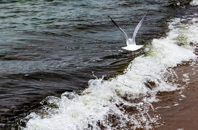 High angle view of waves in sea